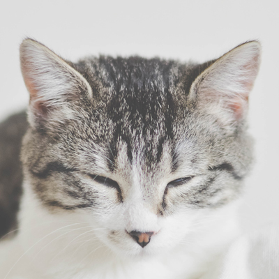 傳統行業的信息化需要盡早做好規劃， 企業普遍經營壓力大，所以數字化...